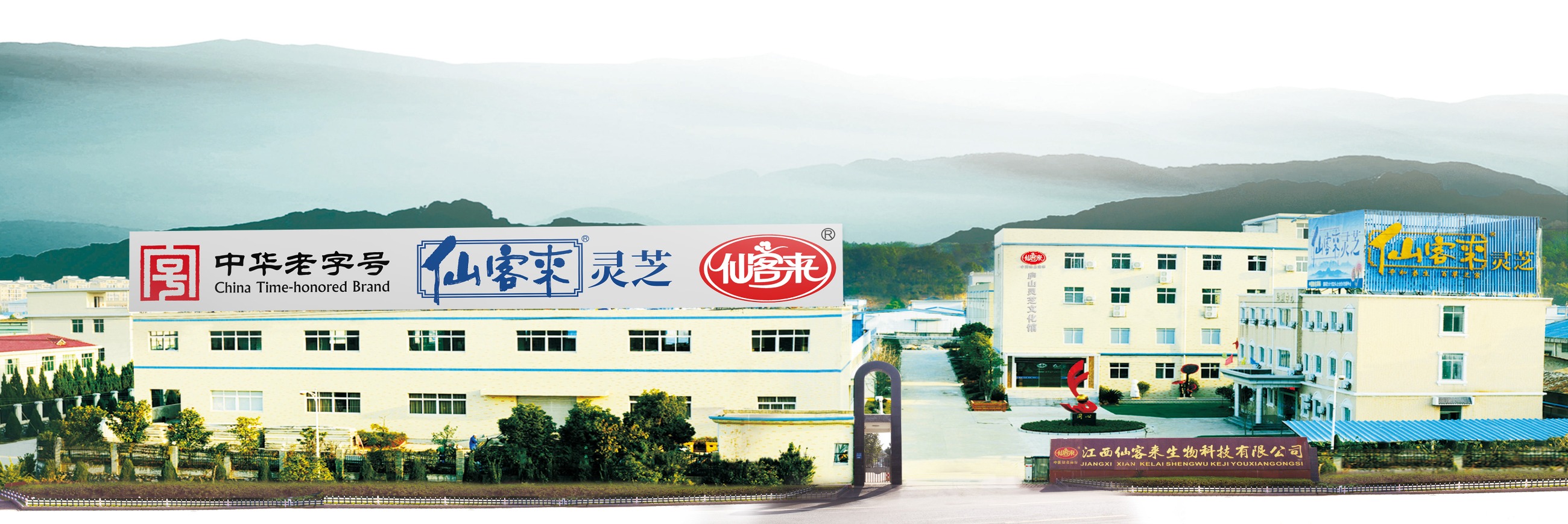 杭州亞運會官方靈芝產(chǎn)品供應(yīng)商|杭州亞運會官方供應(yīng)商|中國靈芝十大品牌|仙客來靈芝|仙客來靈芝破壁孢子粉|仙客來孢子油|仙客來靈芝飲片|仙客來破壁孢子粉|靈芝孢子油|孢子粉|靈芝破壁孢子粉|靈芝|中華老字號 杭州亞運會官方靈芝產(chǎn)品供應(yīng)商|杭州亞運會官方供應(yīng)商|中國靈芝十大品牌|仙客來靈芝|仙客來靈芝破壁孢子粉|仙客來孢子油|仙客來靈芝飲片|仙客來破壁孢子粉|靈芝孢子油|孢子粉|靈芝破壁孢子粉|靈芝|中華老字號