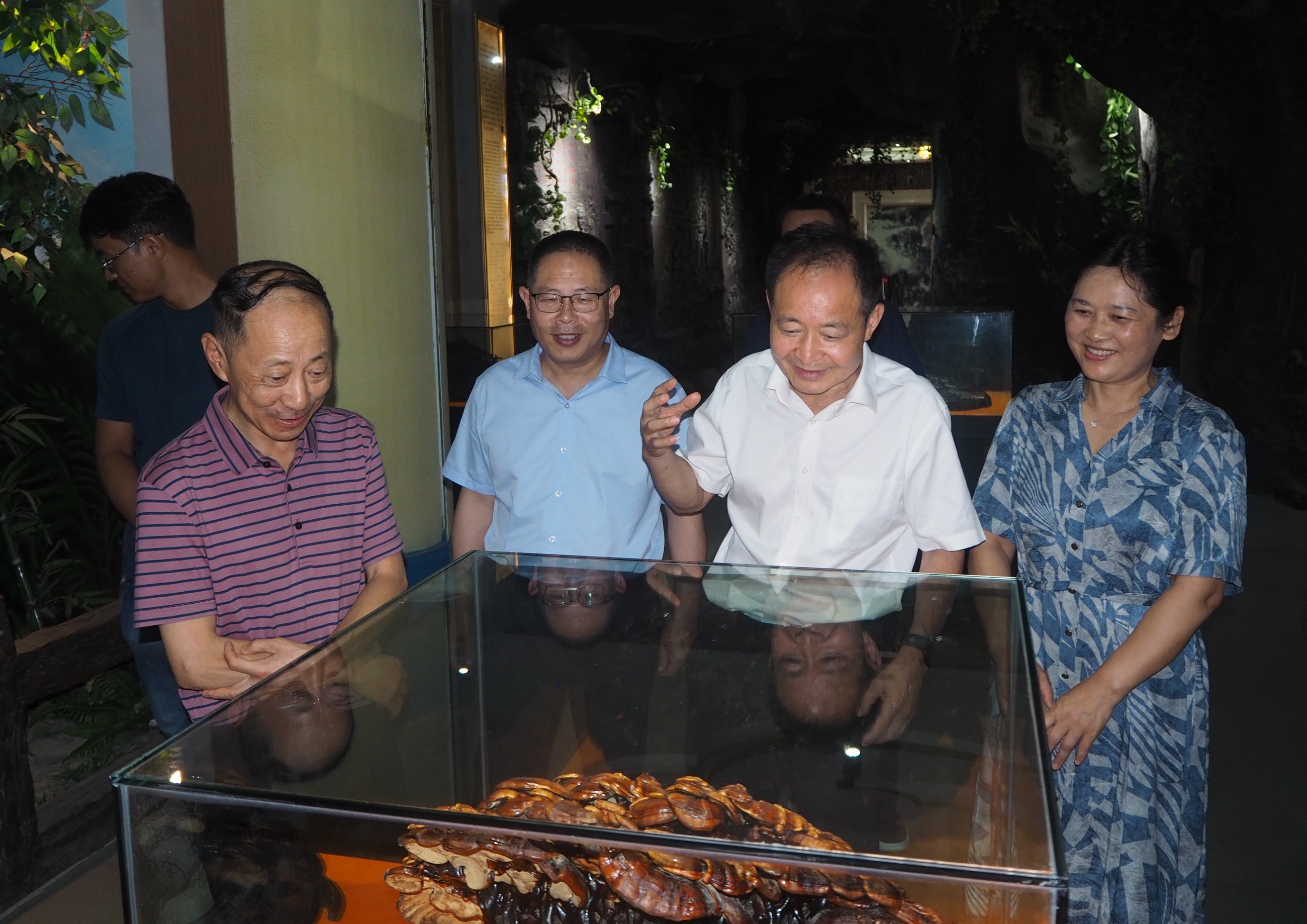 杭州亞運會官方靈芝產(chǎn)品供應商|杭州亞運會官方供應商|中國靈芝十大品牌|仙客來靈芝|仙客來靈芝破壁孢子粉|仙客來孢子油|仙客來靈芝飲片|仙客來破壁孢子粉|靈芝孢子油|孢子粉|靈芝破壁孢子粉|靈芝|中華老字號