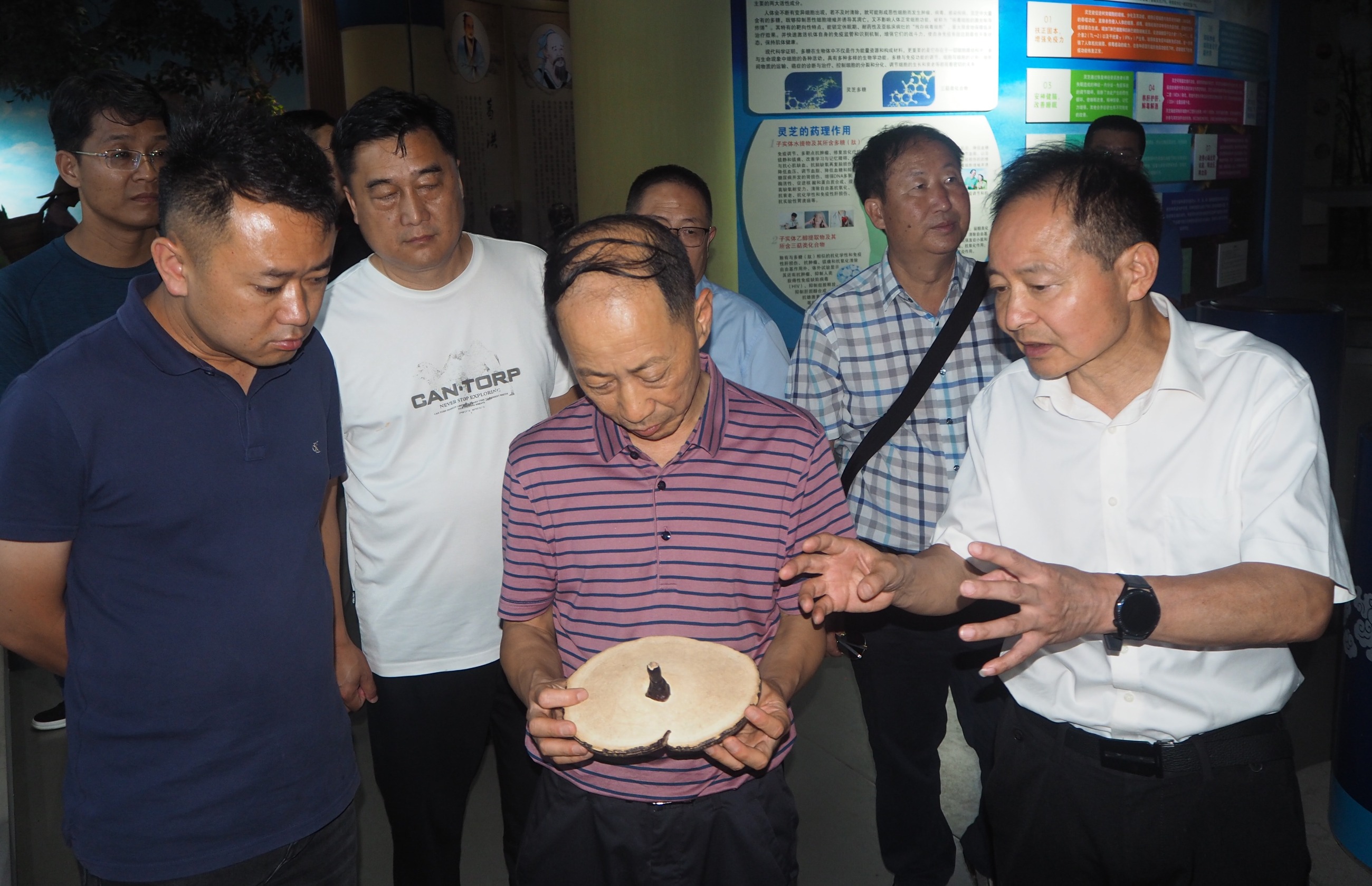 杭州亞運會官方靈芝產(chǎn)品供應商|杭州亞運會官方供應商|中國靈芝十大品牌|仙客來靈芝|仙客來靈芝破壁孢子粉|仙客來孢子油|仙客來靈芝飲片|仙客來破壁孢子粉|靈芝孢子油|孢子粉|靈芝破壁孢子粉|靈芝|中華老字號