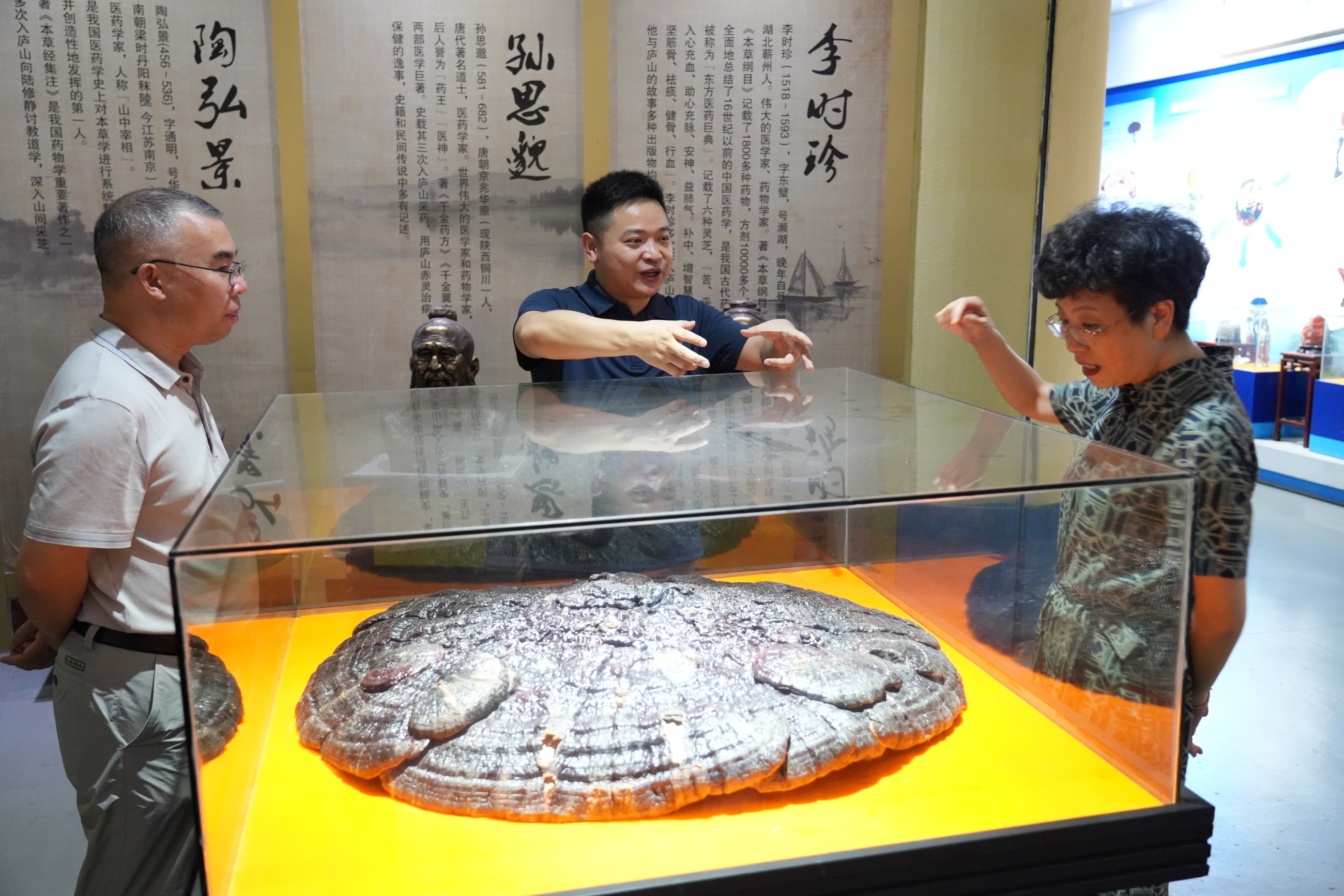 杭州亞運會官方靈芝產(chǎn)品供應商|杭州亞運會官方供應商|中國靈芝十大品牌|仙客來靈芝|仙客來靈芝破壁孢子粉|仙客來孢子油|仙客來靈芝飲片|仙客來破壁孢子粉|靈芝孢子油|孢子粉|靈芝破壁孢子粉|靈芝|中華老字號 杭州亞運會官方靈芝產(chǎn)品供應商|杭州亞運會官方供應商|中國靈芝十大品牌|仙客來靈芝|仙客來靈芝破壁孢子粉|仙客來孢子油|仙客來靈芝飲片|仙客來破壁孢子粉|靈芝孢子油|孢子粉|靈芝破壁孢子粉|靈芝|中華老字號