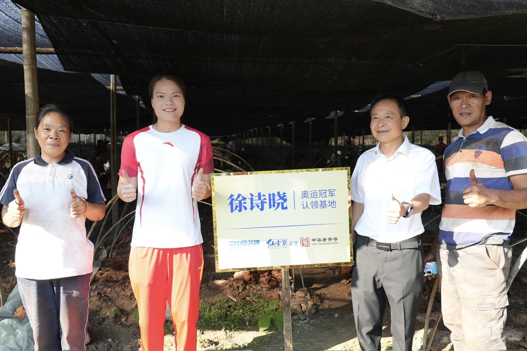 杭州亞運會官方靈芝產品供應商|杭州亞運會官方供應商|中國靈芝十大品牌|仙客來靈芝|仙客來靈芝破壁孢子粉|仙客來孢子油|仙客來靈芝飲片|仙客來破壁孢子粉|靈芝孢子油|孢子粉|靈芝破壁孢子粉|靈芝|中華老字號 杭州亞運會官方靈芝產品供應商|杭州亞運會官方供應商|中國靈芝十大品牌|仙客來靈芝|仙客來靈芝破壁孢子粉|仙客來孢子油|仙客來靈芝飲片|仙客來破壁孢子粉|靈芝孢子油|孢子粉|靈芝破壁孢子粉|靈芝|中華老字號