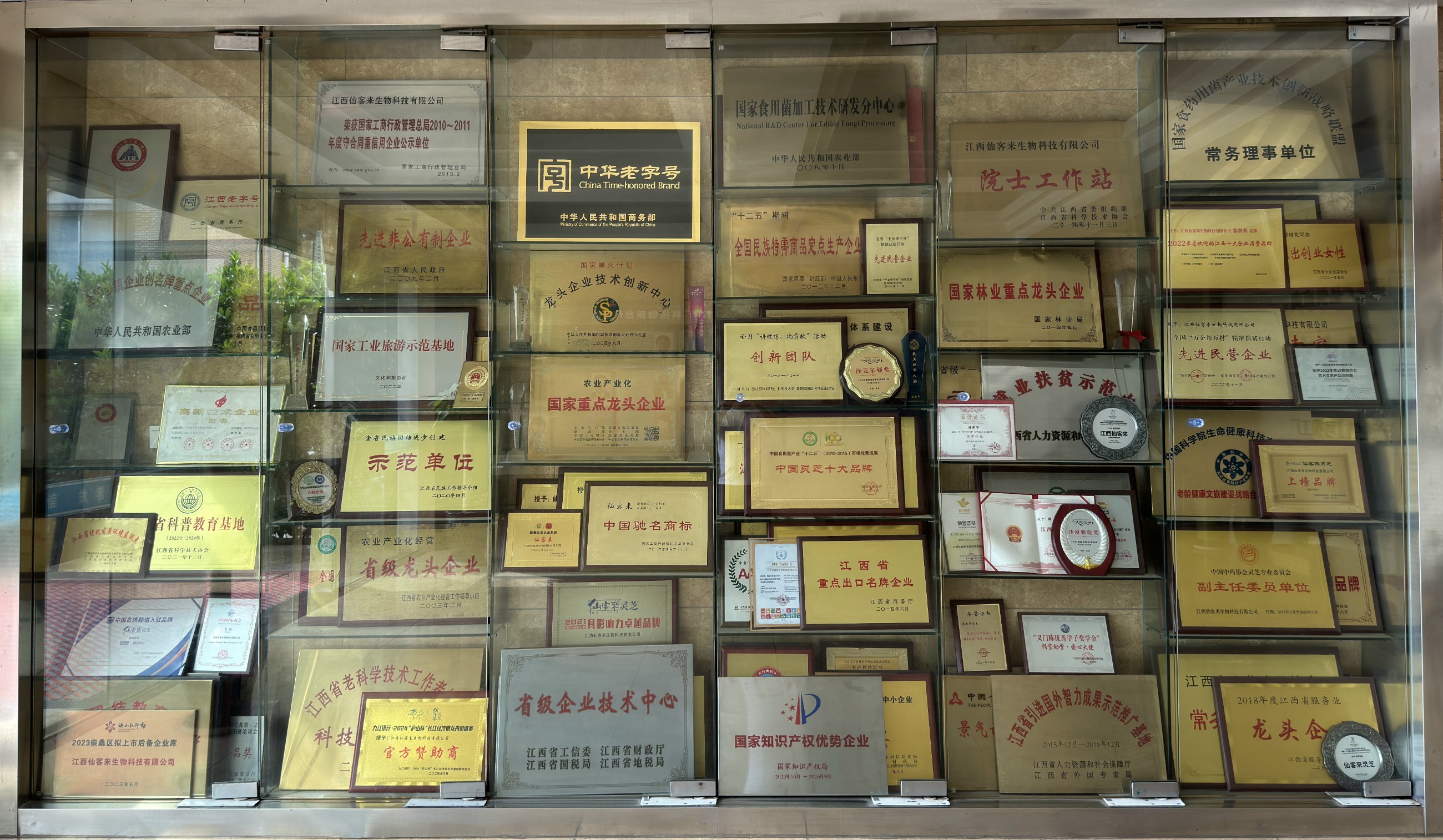 杭州亞運(yùn)會(huì)官方靈芝產(chǎn)品供應(yīng)商|杭州亞運(yùn)會(huì)官方供應(yīng)商|中國(guó)靈芝十大品牌|仙客來(lái)靈芝|仙客來(lái)靈芝破壁孢子粉|仙客來(lái)孢子油|仙客來(lái)靈芝飲片|仙客來(lái)破壁孢子粉|靈芝孢子油|孢子粉|靈芝破壁孢子粉|靈芝|中華老字號(hào) 杭州亞運(yùn)會(huì)官方靈芝產(chǎn)品供應(yīng)商|杭州亞運(yùn)會(huì)官方供應(yīng)商|中國(guó)靈芝十大品牌|仙客來(lái)靈芝|仙客來(lái)靈芝破壁孢子粉|仙客來(lái)孢子油|仙客來(lái)靈芝飲片|仙客來(lái)破壁孢子粉|靈芝孢子油|孢子粉|靈芝破壁孢子粉|靈芝|中華老字號(hào)