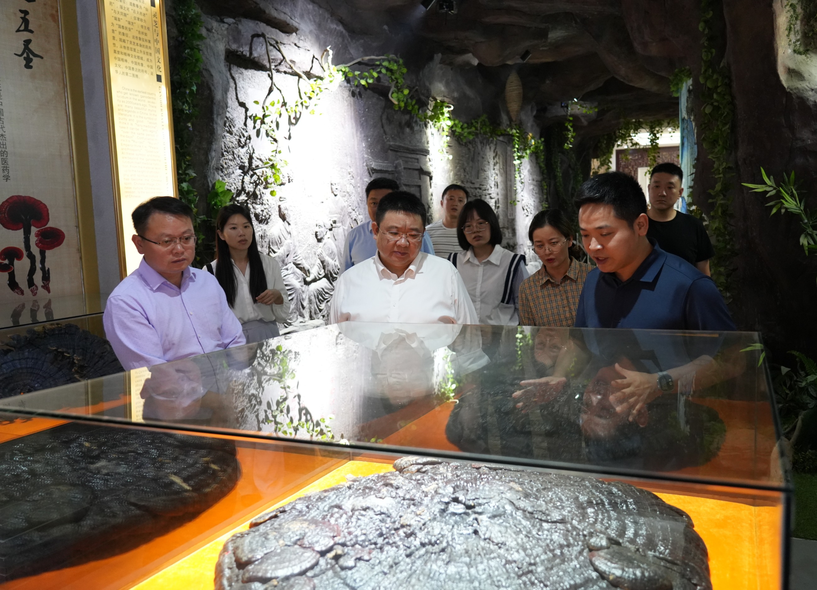 杭州亞運會官方靈芝產(chǎn)品供應(yīng)商|杭州亞運會官方供應(yīng)商|中國靈芝十大品牌|仙客來靈芝|仙客來靈芝破壁孢子粉|仙客來孢子油|仙客來靈芝飲片|仙客來破壁孢子粉|靈芝孢子油|孢子粉|靈芝破壁孢子粉|靈芝|中華老字號 杭州亞運會官方靈芝產(chǎn)品供應(yīng)商|杭州亞運會官方供應(yīng)商|中國靈芝十大品牌|仙客來靈芝|仙客來靈芝破壁孢子粉|仙客來孢子油|仙客來靈芝飲片|仙客來破壁孢子粉|靈芝孢子油|孢子粉|靈芝破壁孢子粉|靈芝|中華老字號