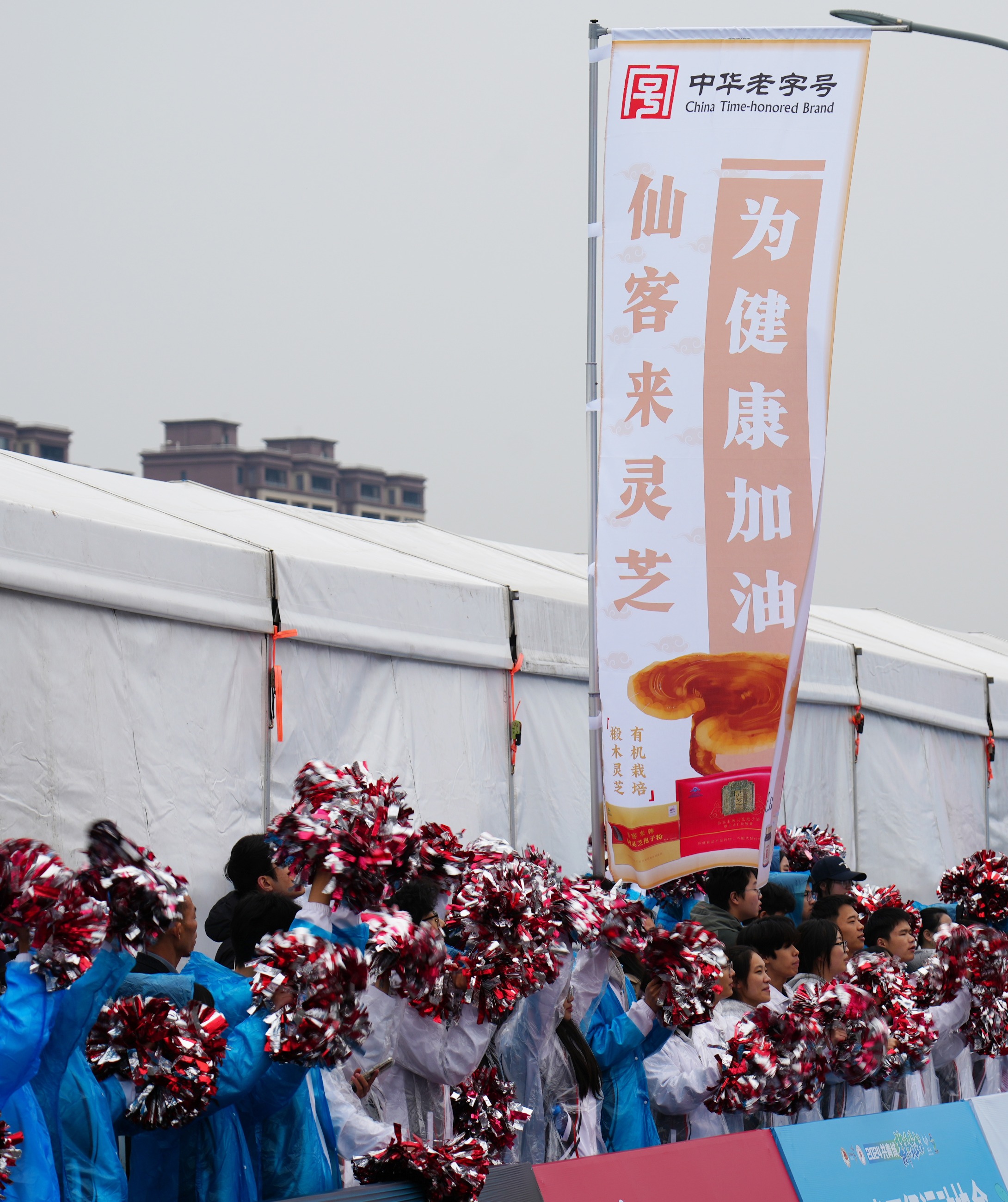 杭州亞運會官方靈芝產品供應商|杭州亞運會官方供應商|中國靈芝十大品牌|仙客來靈芝|仙客來靈芝破壁孢子粉|仙客來孢子油|仙客來靈芝飲片|仙客來破壁孢子粉|靈芝孢子油|孢子粉|靈芝破壁孢子粉|靈芝|中華老字號 杭州亞運會官方靈芝產品供應商|杭州亞運會官方供應商|中國靈芝十大品牌|仙客來靈芝|仙客來靈芝破壁孢子粉|仙客來孢子油|仙客來靈芝飲片|仙客來破壁孢子粉|靈芝孢子油|孢子粉|靈芝破壁孢子粉|靈芝|中華老字號