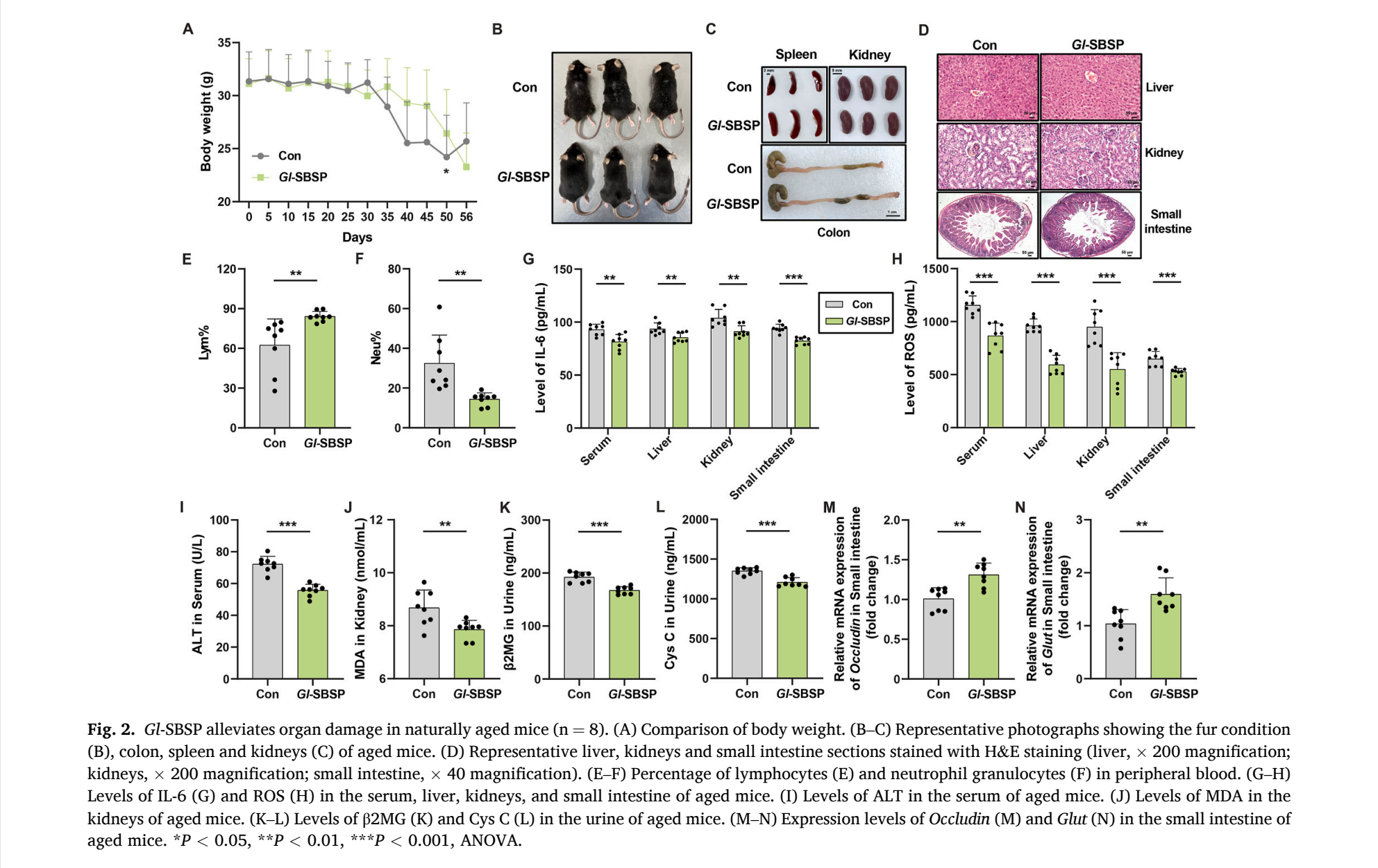 杭州亞運(yùn)會(huì)官方靈芝產(chǎn)品供應(yīng)商|杭州亞運(yùn)會(huì)官方供應(yīng)商|中國(guó)靈芝十大品牌|仙客來靈芝|仙客來靈芝破壁孢子粉|仙客來孢子油|仙客來靈芝飲片|仙客來破壁孢子粉|靈芝孢子油|孢子粉|靈芝破壁孢子粉|靈芝|中華老字號(hào) 杭州亞運(yùn)會(huì)官方靈芝產(chǎn)品供應(yīng)商|杭州亞運(yùn)會(huì)官方供應(yīng)商|中國(guó)靈芝十大品牌|仙客來靈芝|仙客來靈芝破壁孢子粉|仙客來孢子油|仙客來靈芝飲片|仙客來破壁孢子粉|靈芝孢子油|孢子粉|靈芝破壁孢子粉|靈芝|中華老字號(hào)