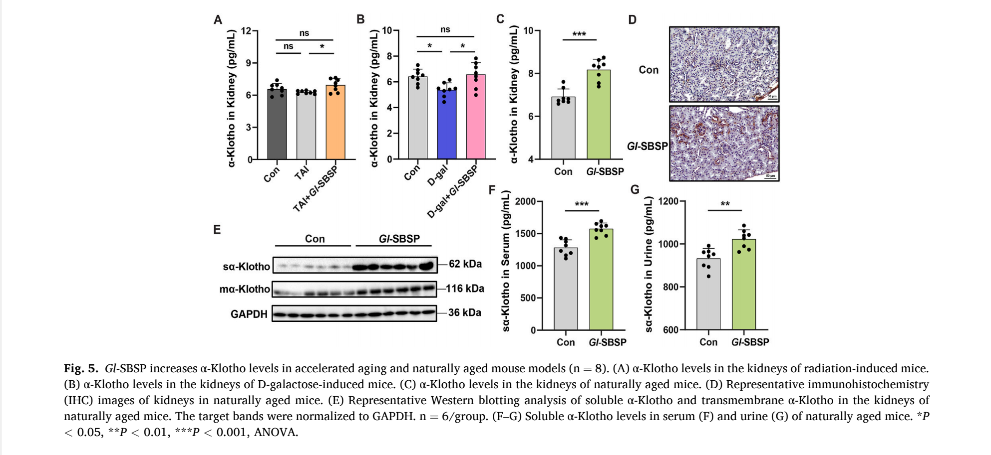 杭州亞運(yùn)會(huì)官方靈芝產(chǎn)品供應(yīng)商|杭州亞運(yùn)會(huì)官方供應(yīng)商|中國(guó)靈芝十大品牌|仙客來靈芝|仙客來靈芝破壁孢子粉|仙客來孢子油|仙客來靈芝飲片|仙客來破壁孢子粉|靈芝孢子油|孢子粉|靈芝破壁孢子粉|靈芝|中華老字號(hào) 杭州亞運(yùn)會(huì)官方靈芝產(chǎn)品供應(yīng)商|杭州亞運(yùn)會(huì)官方供應(yīng)商|中國(guó)靈芝十大品牌|仙客來靈芝|仙客來靈芝破壁孢子粉|仙客來孢子油|仙客來靈芝飲片|仙客來破壁孢子粉|靈芝孢子油|孢子粉|靈芝破壁孢子粉|靈芝|中華老字號(hào)