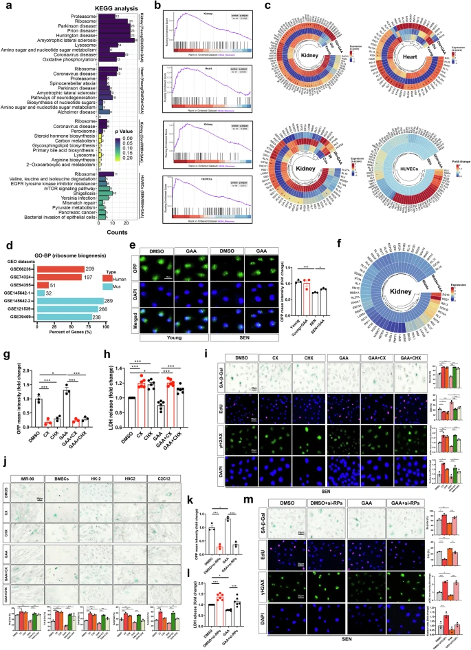 杭州亞運會官方靈芝產(chǎn)品供應商|杭州亞運會官方供應商|中國靈芝十大品牌|仙客來靈芝|仙客來靈芝破壁孢子粉|仙客來孢子油|仙客來靈芝飲片|仙客來破壁孢子粉|靈芝孢子油|孢子粉|靈芝破壁孢子粉|靈芝|中華老字號 杭州亞運會官方靈芝產(chǎn)品供應商|杭州亞運會官方供應商|中國靈芝十大品牌|仙客來靈芝|仙客來靈芝破壁孢子粉|仙客來孢子油|仙客來靈芝飲片|仙客來破壁孢子粉|靈芝孢子油|孢子粉|靈芝破壁孢子粉|靈芝|中華老字號