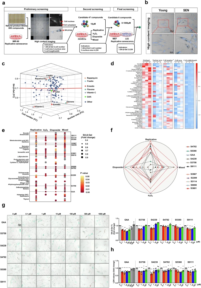 杭州亞運會官方靈芝產(chǎn)品供應商|杭州亞運會官方供應商|中國靈芝十大品牌|仙客來靈芝|仙客來靈芝破壁孢子粉|仙客來孢子油|仙客來靈芝飲片|仙客來破壁孢子粉|靈芝孢子油|孢子粉|靈芝破壁孢子粉|靈芝|中華老字號 杭州亞運會官方靈芝產(chǎn)品供應商|杭州亞運會官方供應商|中國靈芝十大品牌|仙客來靈芝|仙客來靈芝破壁孢子粉|仙客來孢子油|仙客來靈芝飲片|仙客來破壁孢子粉|靈芝孢子油|孢子粉|靈芝破壁孢子粉|靈芝|中華老字號