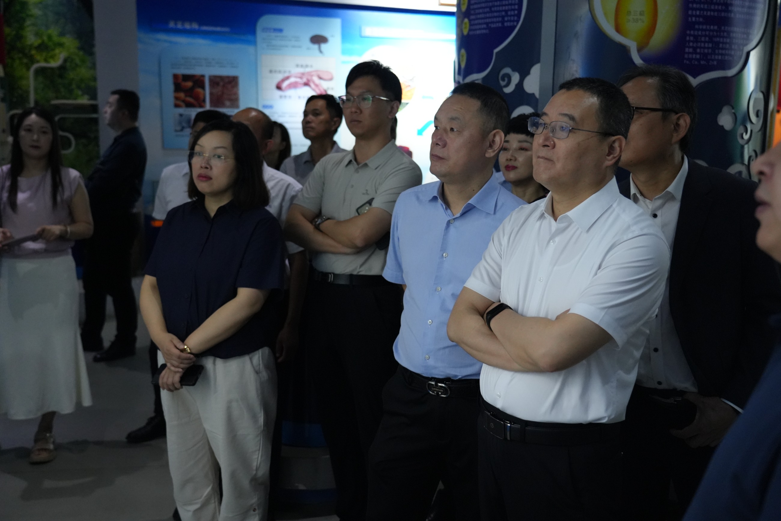 杭州亞運會官方靈芝產(chǎn)品供應商|杭州亞運會官方供應商|中國靈芝十大品牌|仙客來靈芝|仙客來靈芝破壁孢子粉|仙客來孢子油|仙客來靈芝飲片|仙客來破壁孢子粉|靈芝孢子油|孢子粉|靈芝破壁孢子粉|靈芝|中華老字號