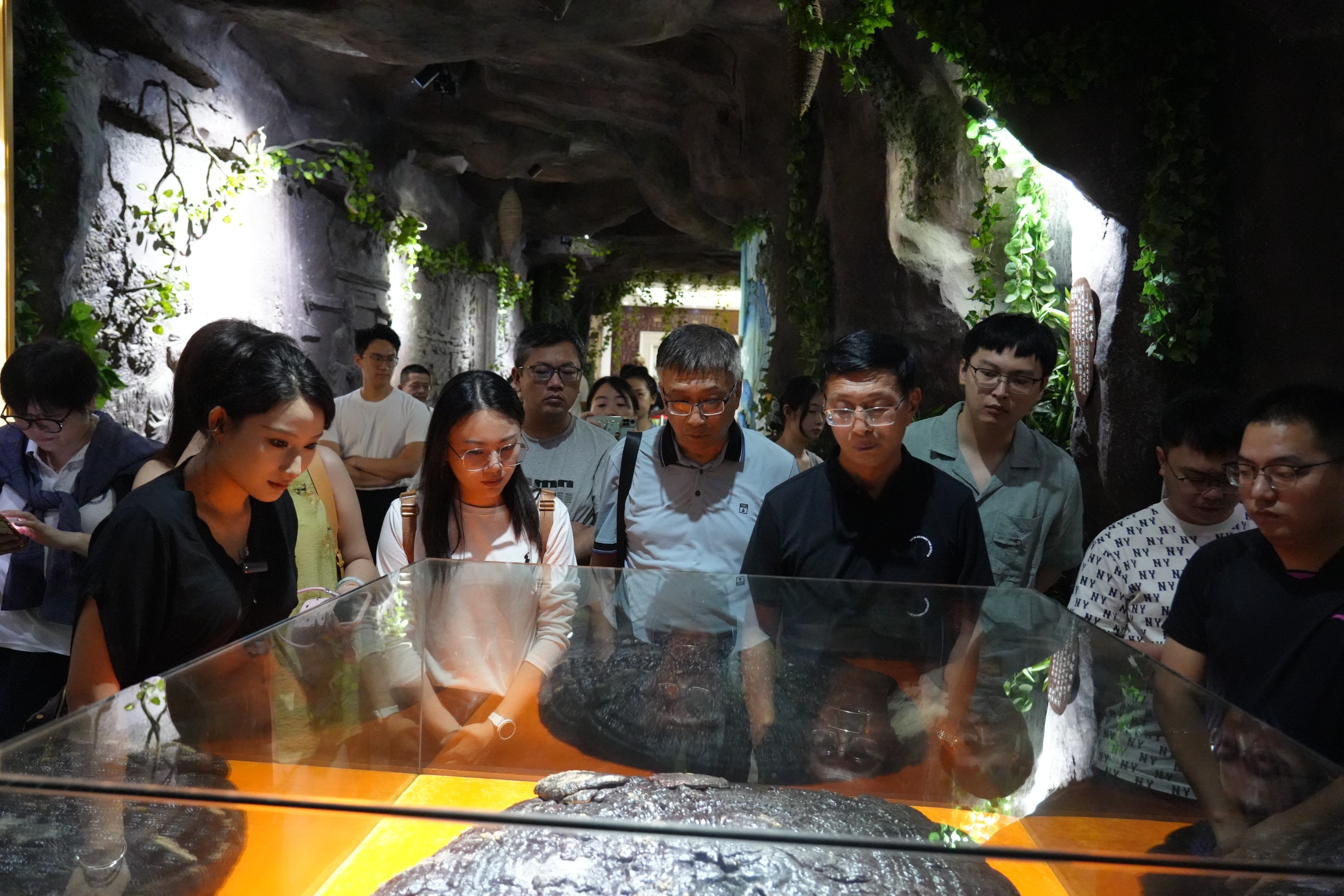 杭州亞運會官方靈芝產(chǎn)品供應商|杭州亞運會官方供應商|中國靈芝十大品牌|仙客來靈芝|仙客來靈芝破壁孢子粉|仙客來孢子油|仙客來靈芝飲片|仙客來破壁孢子粉|靈芝孢子油|孢子粉|靈芝破壁孢子粉|靈芝|中華老字號