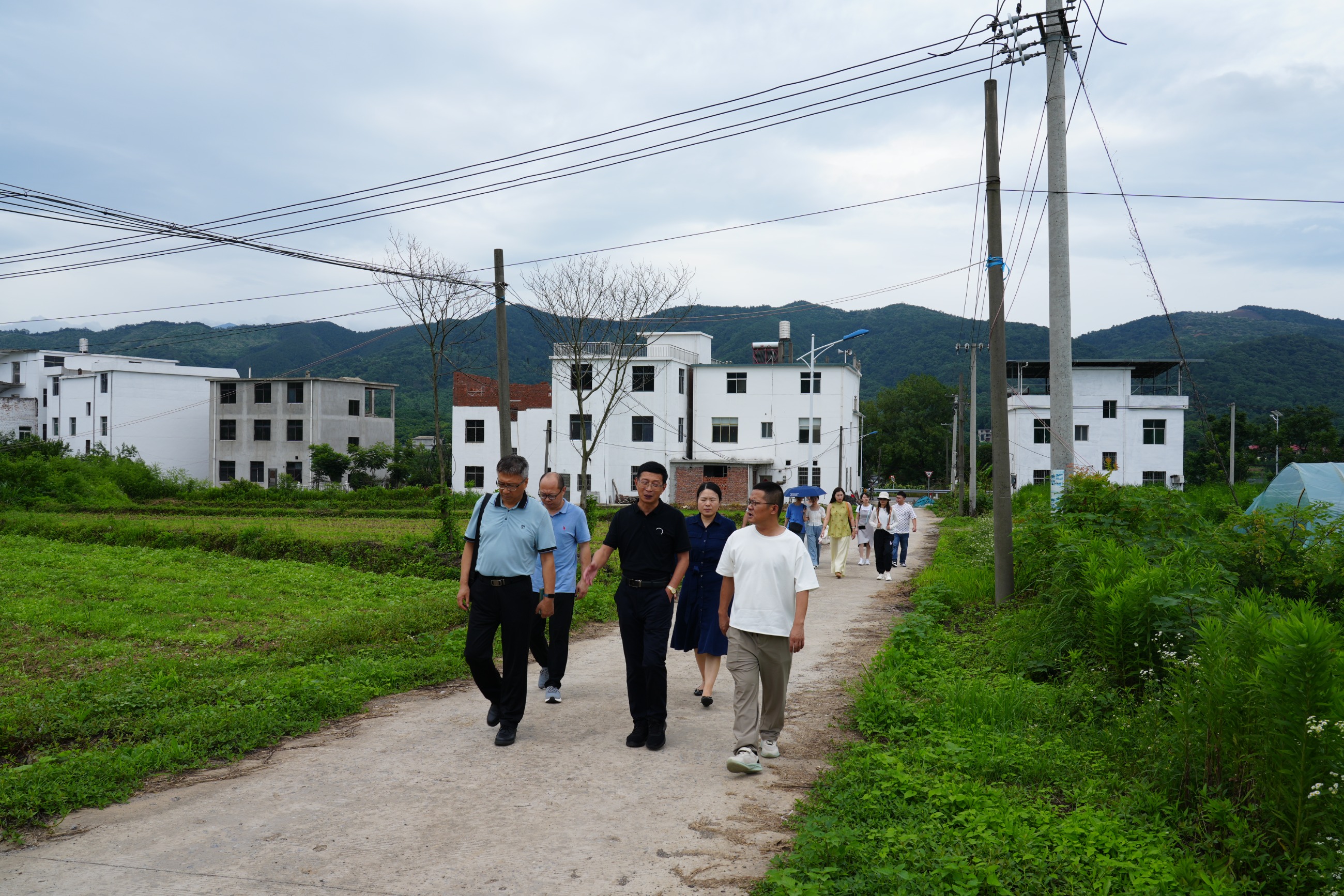 杭州亞運會官方靈芝產(chǎn)品供應商|杭州亞運會官方供應商|中國靈芝十大品牌|仙客來靈芝|仙客來靈芝破壁孢子粉|仙客來孢子油|仙客來靈芝飲片|仙客來破壁孢子粉|靈芝孢子油|孢子粉|靈芝破壁孢子粉|靈芝|中華老字號