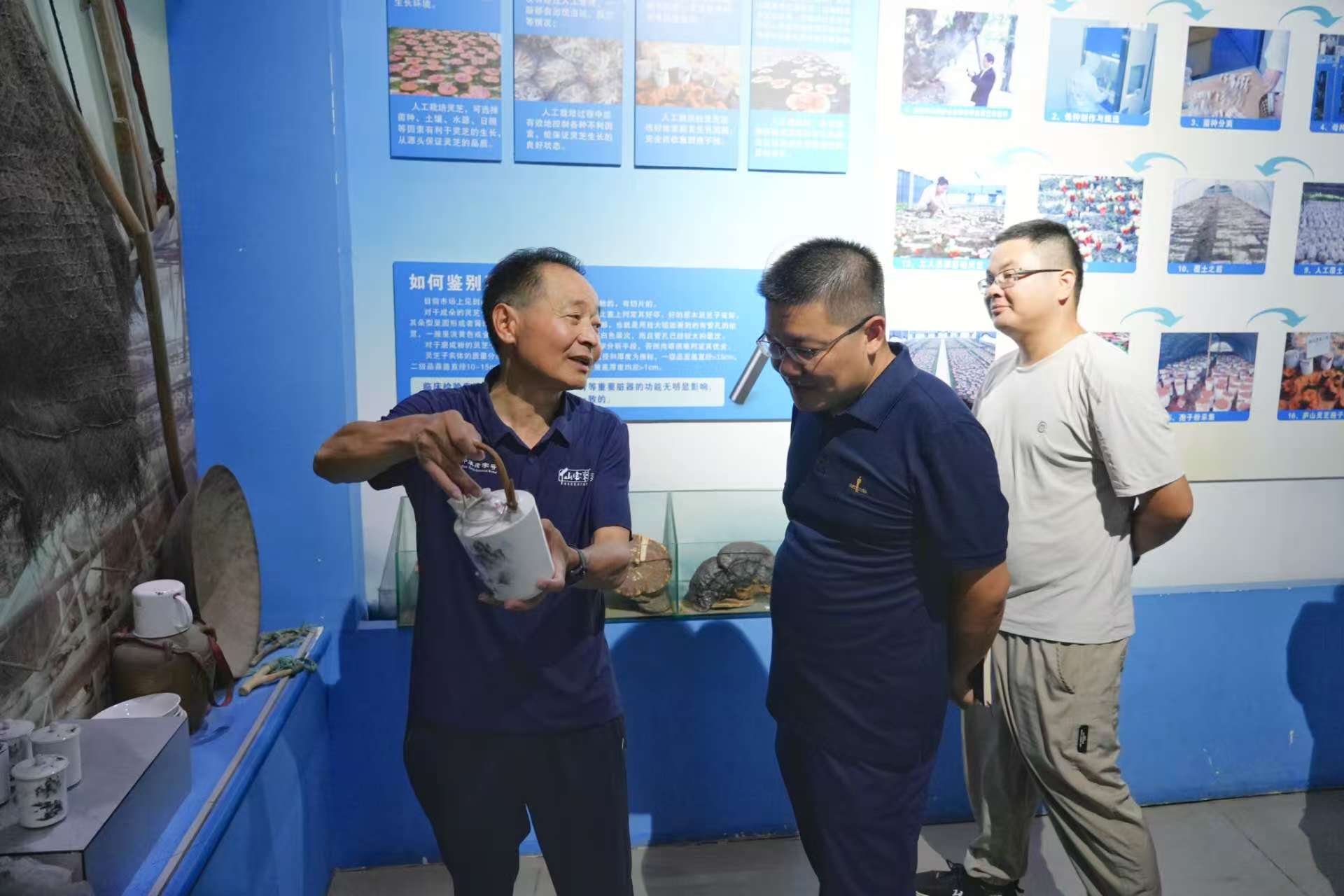 杭州亞運會官方靈芝產品供應商|杭州亞運會官方供應商|中國靈芝十大品牌|仙客來靈芝|仙客來靈芝破壁孢子粉|仙客來孢子油|仙客來靈芝飲片|仙客來破壁孢子粉|靈芝孢子油|孢子粉|靈芝破壁孢子粉|靈芝|中華老字號