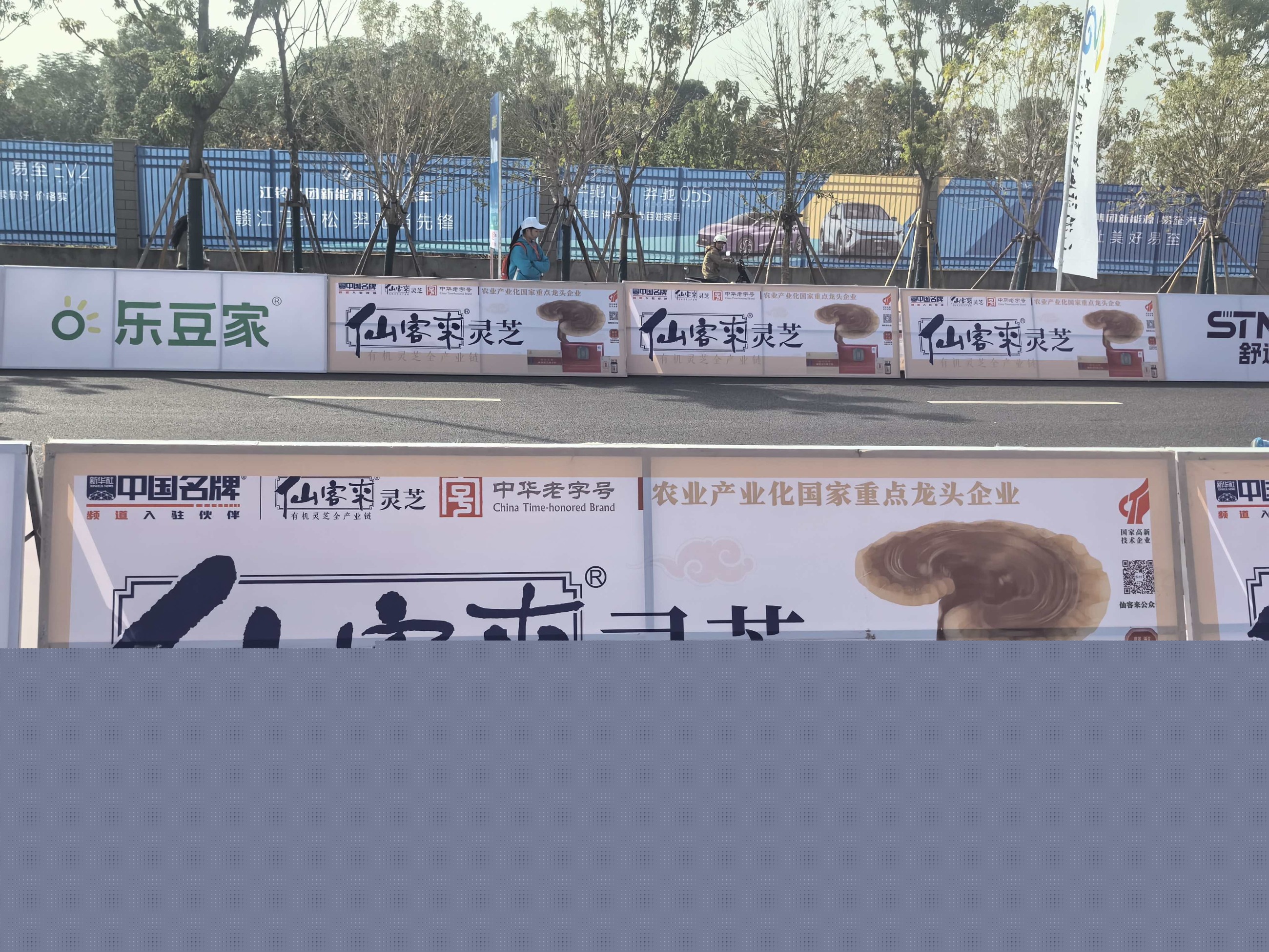 杭州亞運(yùn)會(huì)官方靈芝產(chǎn)品供應(yīng)商|杭州亞運(yùn)會(huì)官方供應(yīng)商|中國(guó)靈芝十大品牌|仙客來靈芝|仙客來靈芝破壁孢子粉|仙客來孢子油|仙客來靈芝飲片|仙客來破壁孢子粉|靈芝孢子油|孢子粉|靈芝破壁孢子粉|靈芝|中華老字號(hào)