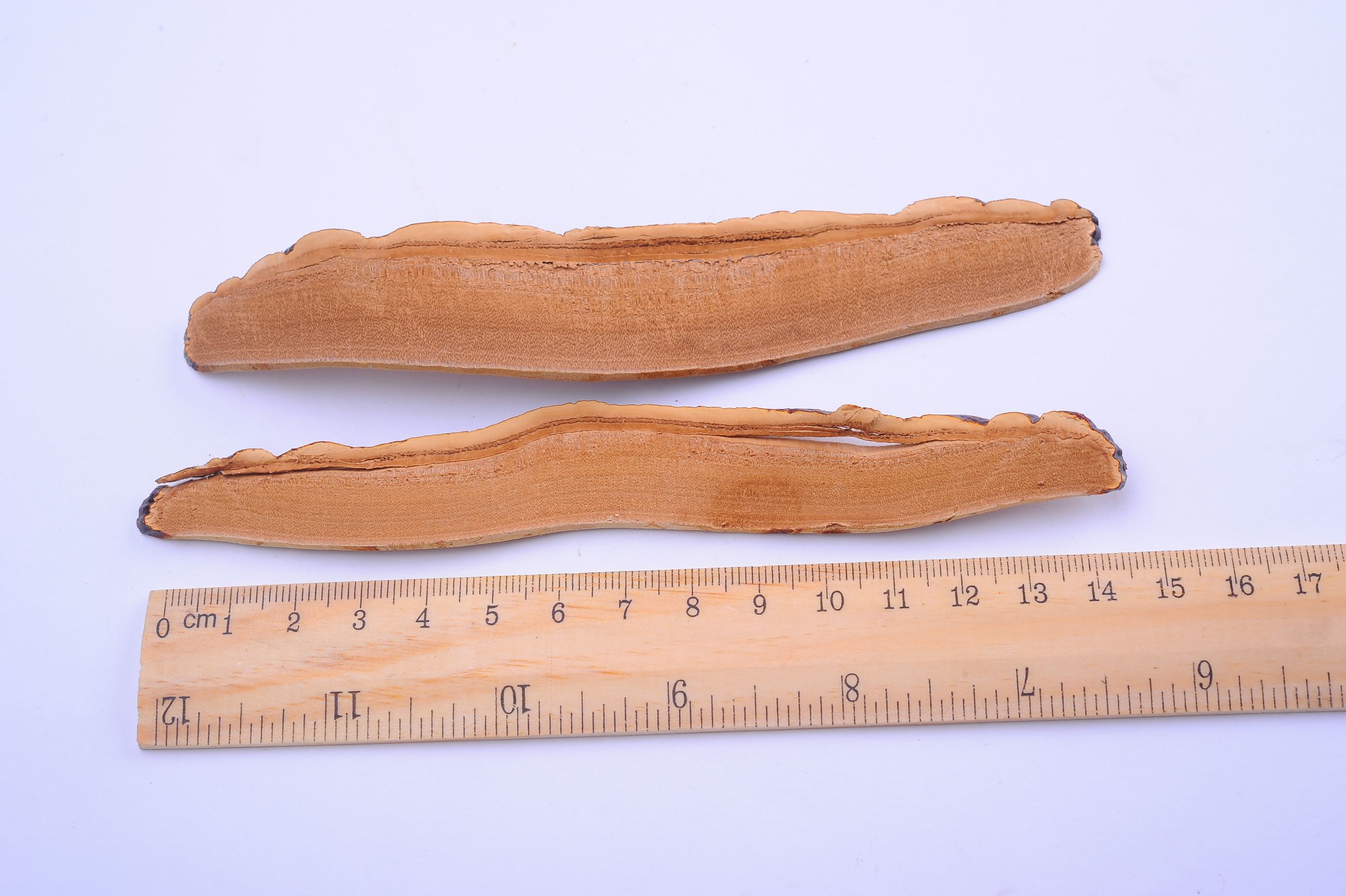 杭州亞運會官方靈芝產(chǎn)品供應商|杭州亞運會官方供應商|中國靈芝十大品牌|仙客來靈芝|仙客來靈芝破壁孢子粉|仙客來孢子油|仙客來靈芝飲片|仙客來破壁孢子粉|靈芝孢子油|孢子粉|靈芝破壁孢子粉|靈芝|中華老字號 杭州亞運會官方靈芝產(chǎn)品供應商|杭州亞運會官方供應商|中國靈芝十大品牌|仙客來靈芝|仙客來靈芝破壁孢子粉|仙客來孢子油|仙客來靈芝飲片|仙客來破壁孢子粉|靈芝孢子油|孢子粉|靈芝破壁孢子粉|靈芝|中華老字號