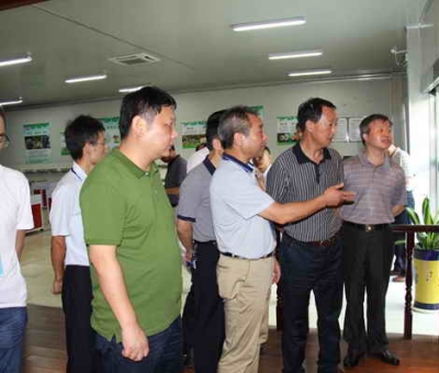 德安縣委、人大、政協(xié)領(lǐng)導(dǎo)考察仙客來公司