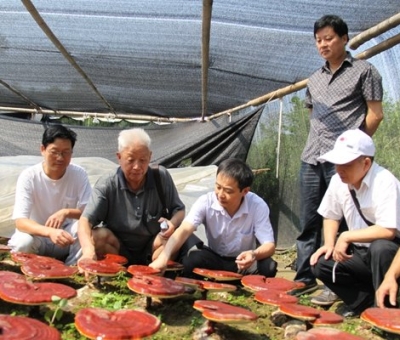 仙客來產(chǎn)業(yè)園景區(qū)獲批三產(chǎn)融合旅游國家級(jí)3A景區(qū)