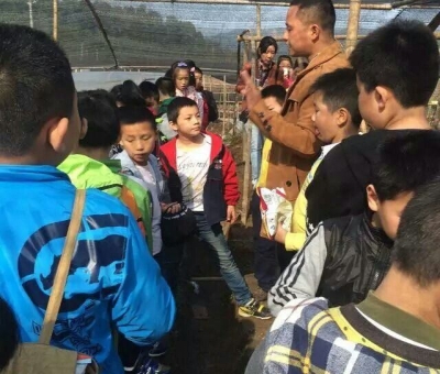 仙客來(lái)有機(jī)靈芝全產(chǎn)業(yè)鏈可視工廠今年接待游客突破7萬(wàn)