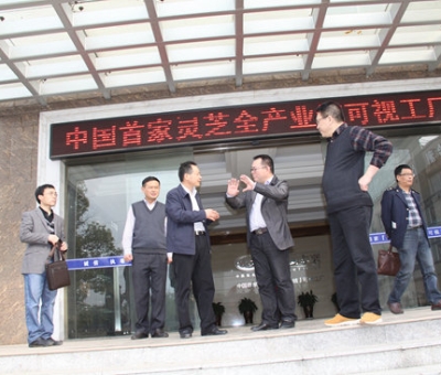 江西省國稅局領(lǐng)導蒞臨仙客來指導出口創(chuàng)匯工作