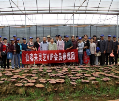 “慶國(guó)慶、賀重陽(yáng)”專家義診活動(dòng)在仙客來(lái)公司隆重舉行