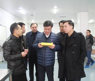 江西省檢察院黨組成員、副檢察長徐勝平一行來公司走訪調(diào)研