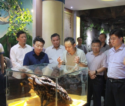 &ldquo;降成本，優(yōu)環(huán)境&rdquo;助企業(yè)騰飛&mdash;&mdash;江西省政協(xié)副主席率團調研仙客來！