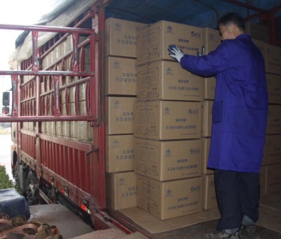 【4天加班15次缺貨】只為人皆有“芝”！