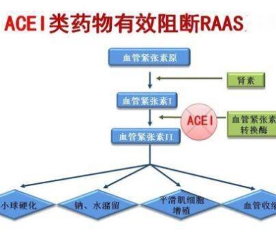 不吃藥，能降低高血壓？