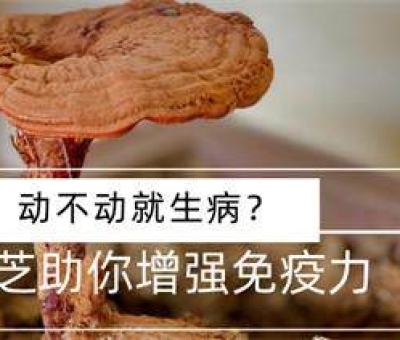 冬病夏治-如何調(diào)養(yǎng)身體？