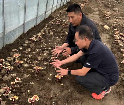 助力少數(shù)民族地區(qū)發(fā)展！潘新華應邀前往西藏拉薩市和林芝市 共商產(chǎn)業(yè)發(fā)展良策